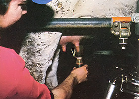 Dipping each teat in disinfectant after milking will help prevent infection by microorganisms.